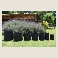 Ver: Fila de macetas geotextiles negras en un jardín