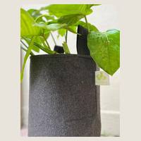 Ver: Maceta geotextil gris con una planta de hojas grandes