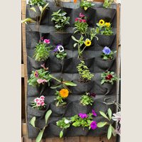 Ver: Jardín vertical gris con los bolsillos llenos de flores de temporada