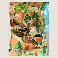 Ver: Jardín vertical sublimado de naranjas con las plantas puestas